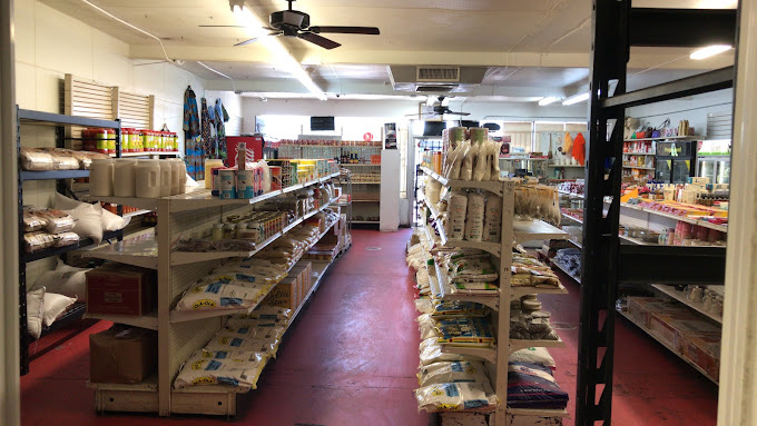 Fresh Meat and Discount Store Interior